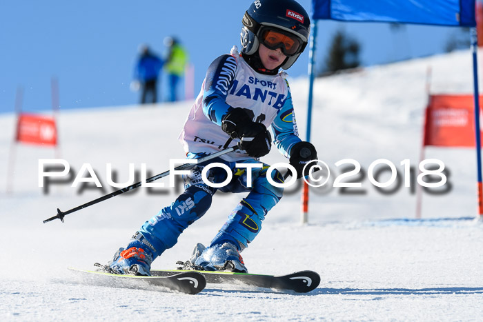 Sechzger und Kids Pokal VRS 13.01.2018