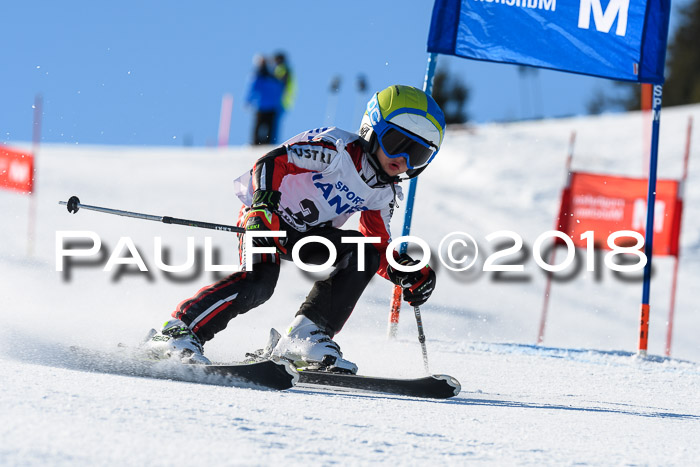 Sechzger und Kids Pokal VRS 13.01.2018