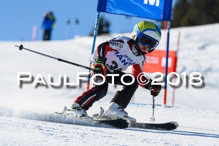 Sechzger und Kids Pokal VRS 13.01.2018