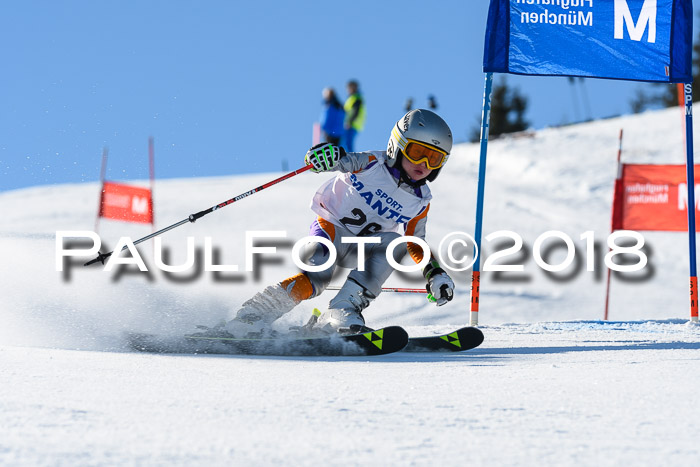 Sechzger und Kids Pokal VRS 13.01.2018