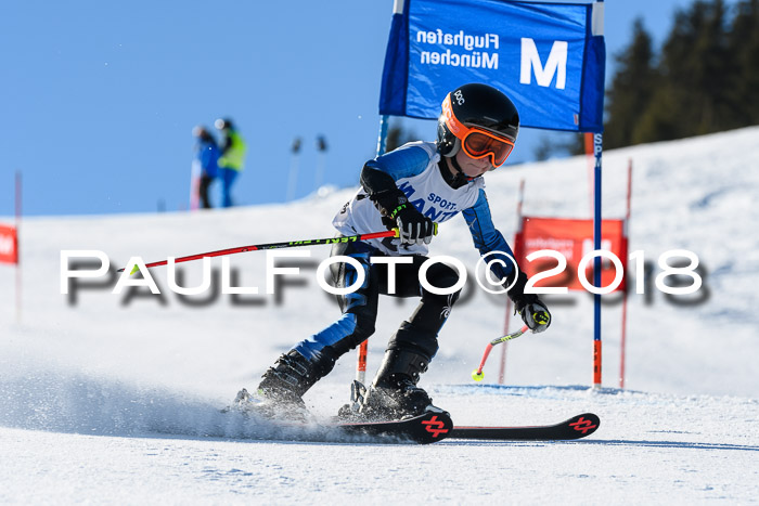 Sechzger und Kids Pokal VRS 13.01.2018