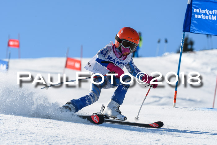 Sechzger und Kids Pokal VRS 13.01.2018