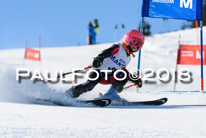 Sechzger und Kids Pokal VRS 13.01.2018