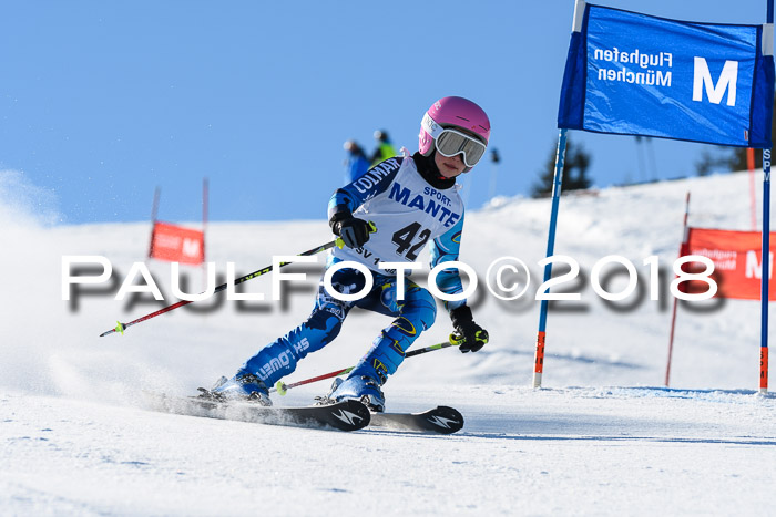 Sechzger und Kids Pokal VRS 13.01.2018