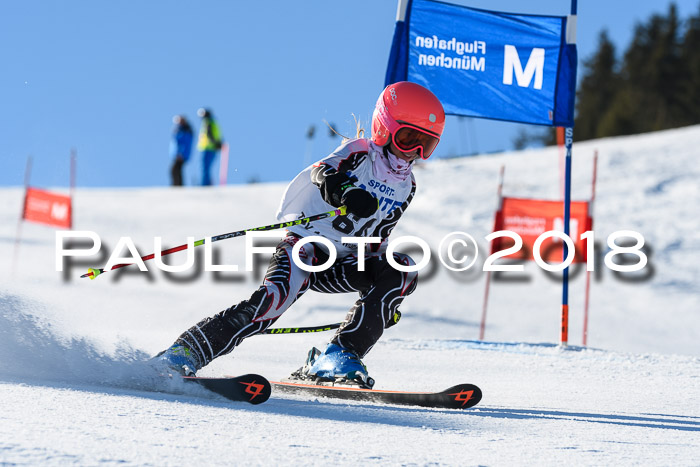 Sechzger und Kids Pokal VRS 13.01.2018