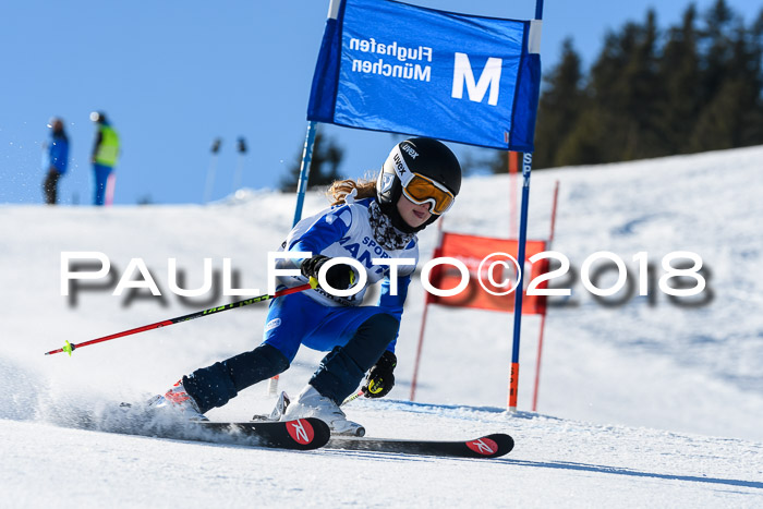 Sechzger und Kids Pokal VRS 13.01.2018