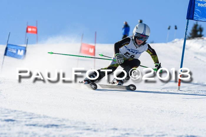 Sechzger und Kids Pokal VRS 13.01.2018