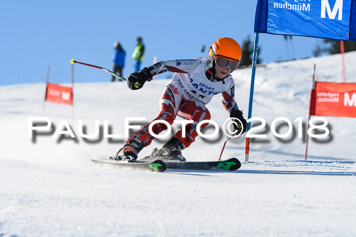 Sechzger und Kids Pokal VRS 13.01.2018