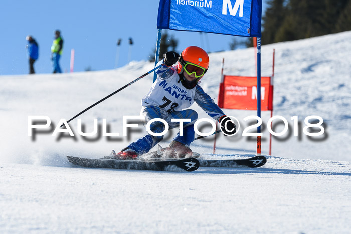 Sechzger und Kids Pokal VRS 13.01.2018