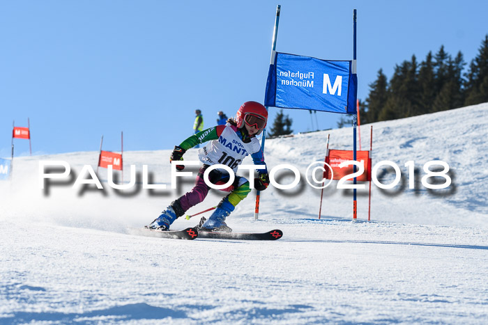 Sechzger und Kids Pokal VRS 13.01.2018