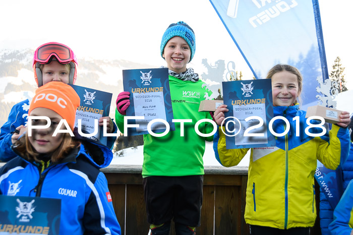 Sechzger und Kids Pokal VRS 13.01.2018