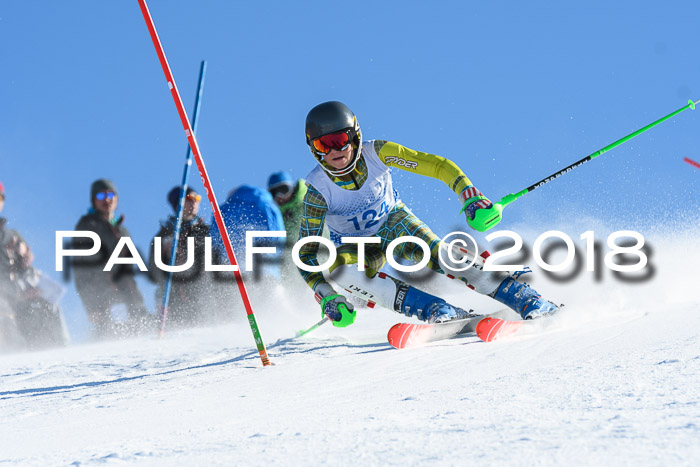 SVM U14/U16 Slalom 14.01.2018