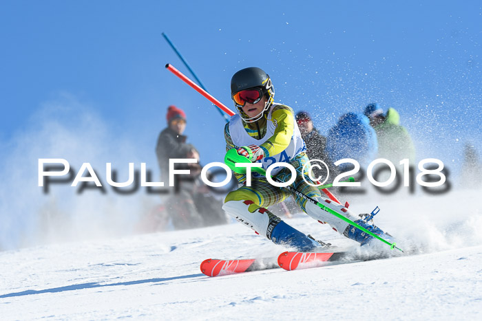 SVM U14/U16 Slalom 14.01.2018