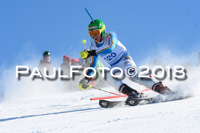 SVM U14/U16 Slalom 14.01.2018