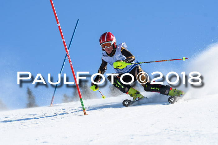 SVM U14/U16 Slalom 14.01.2018