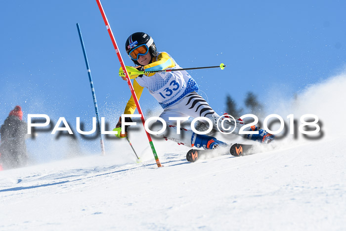 SVM U14/U16 Slalom 14.01.2018