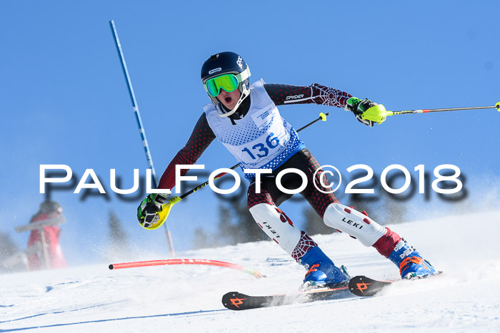 SVM U14/U16 Slalom 14.01.2018