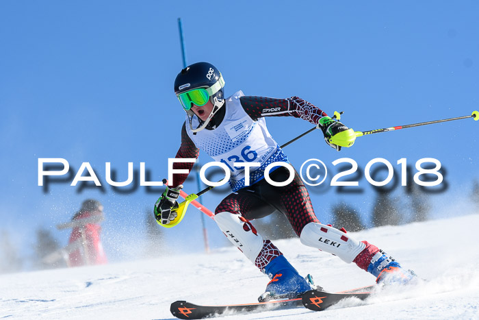 SVM U14/U16 Slalom 14.01.2018