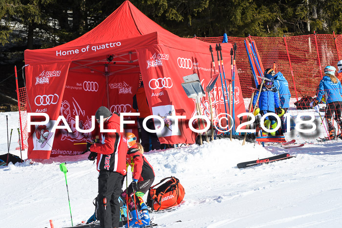 SVM U14/U16 Slalom 14.01.2018