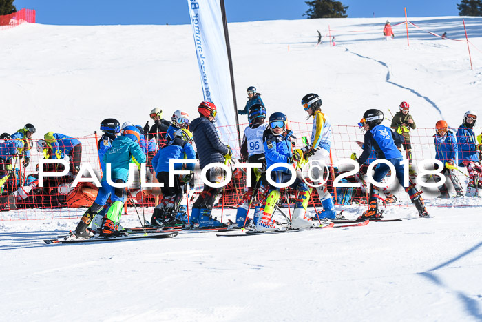 SVM U14/U16 Slalom 14.01.2018