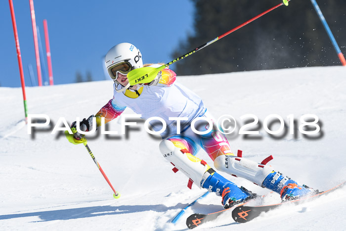 SVM U14/U16 Slalom 14.01.2018