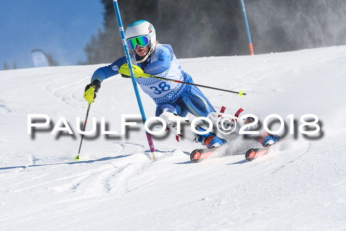 SVM U14/U16 Slalom 14.01.2018