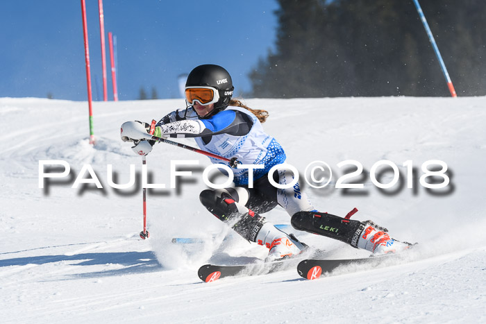 SVM U14/U16 Slalom 14.01.2018