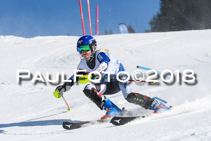 SVM U14/U16 Slalom 14.01.2018