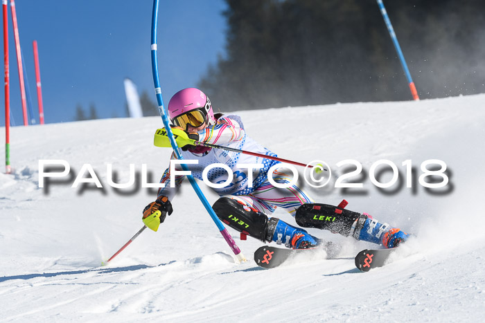 SVM U14/U16 Slalom 14.01.2018