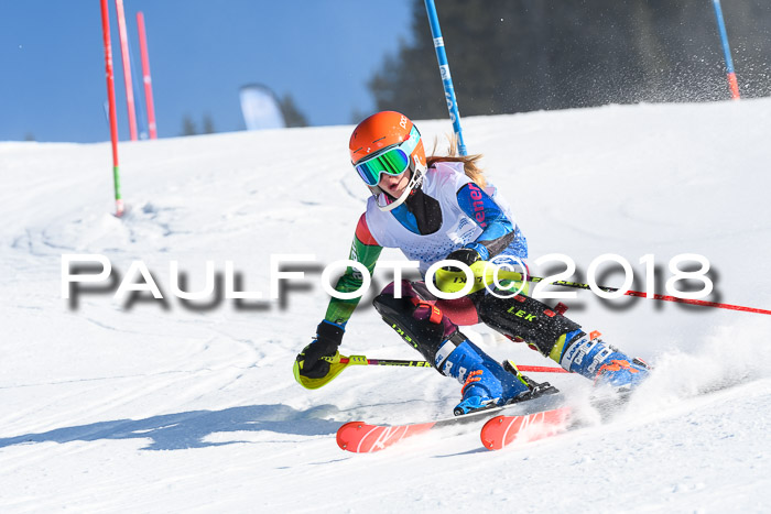 SVM U14/U16 Slalom 14.01.2018