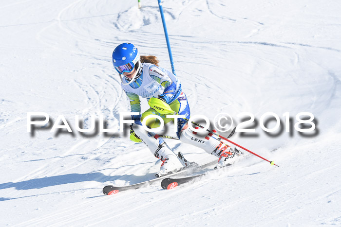 SVM U14/U16 Slalom 14.01.2018