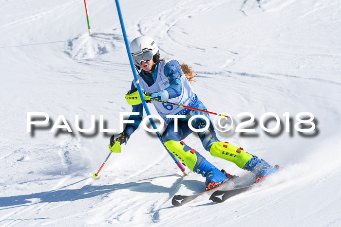 SVM U14/U16 Slalom 14.01.2018