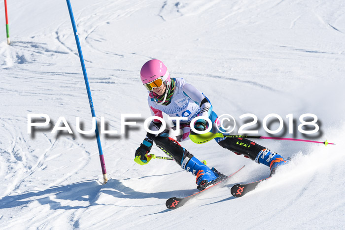 SVM U14/U16 Slalom 14.01.2018