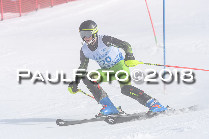 SVM U14/U16 Slalom 14.01.2018