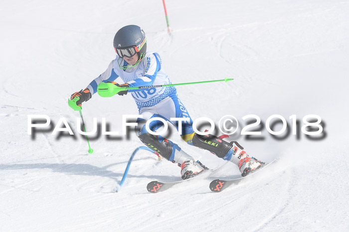 SVM U14/U16 Slalom 14.01.2018