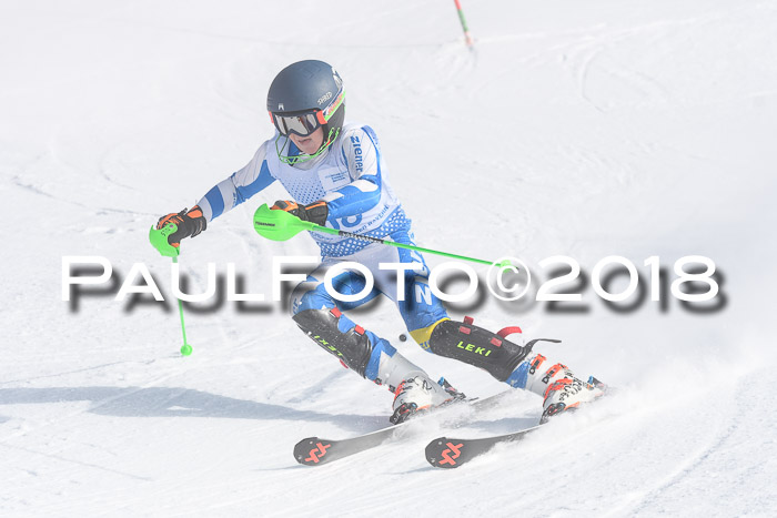 SVM U14/U16 Slalom 14.01.2018