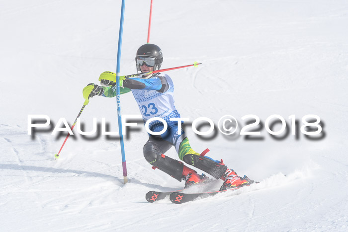 SVM U14/U16 Slalom 14.01.2018