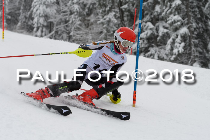 DSV Dt. Schülercup U14 SL 20.01.2018