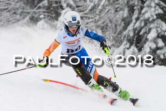 DSV Dt. Schülercup U14 SL 20.01.2018