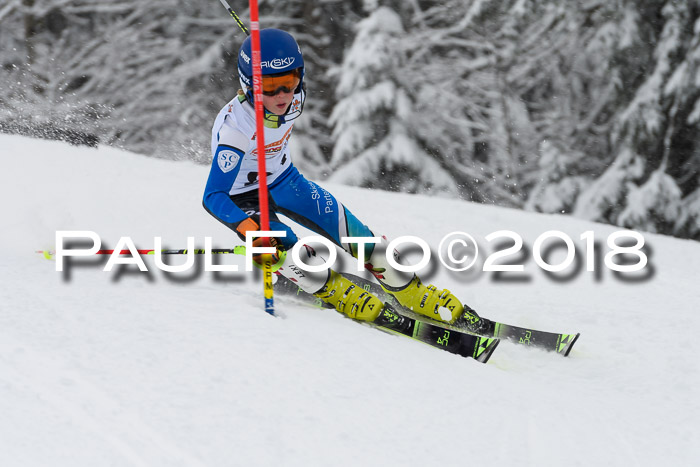 DSV Dt. Schülercup U14 SL 20.01.2018