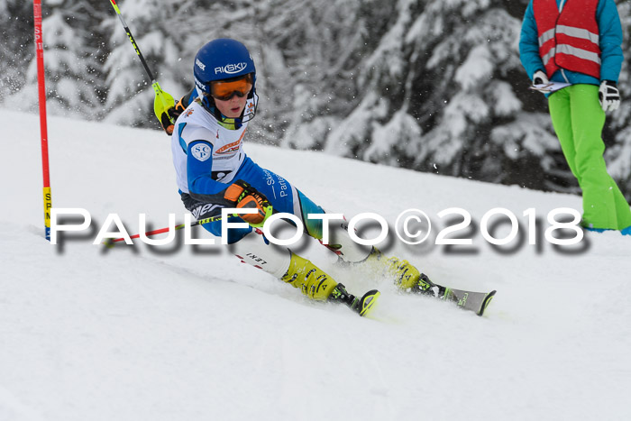 DSV Dt. Schülercup U14 SL 20.01.2018