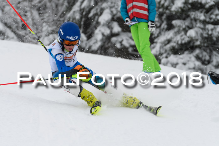 DSV Dt. Schülercup U14 SL 20.01.2018