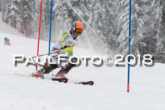 DSV Dt. Schülercup U14 SL 20.01.2018