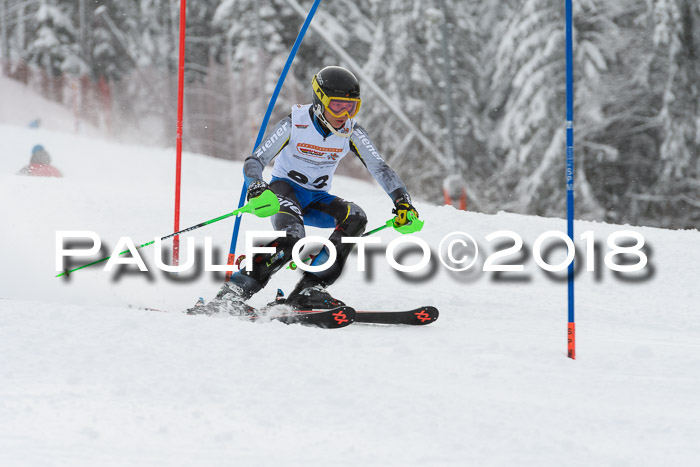 DSV Dt. Schülercup U14 SL 20.01.2018