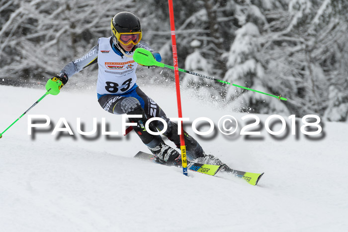 DSV Dt. Schülercup U14 SL 20.01.2018