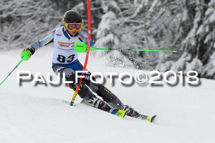 DSV Dt. Schülercup U14 SL 20.01.2018