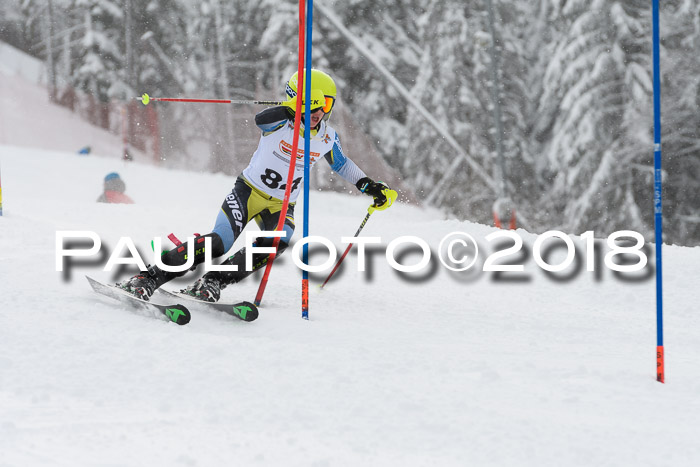 DSV Dt. Schülercup U14 SL 20.01.2018