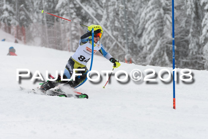 DSV Dt. Schülercup U14 SL 20.01.2018