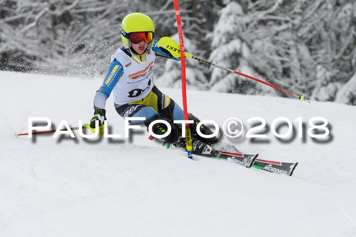 DSV Dt. Schülercup U14 SL 20.01.2018