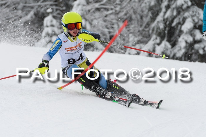 DSV Dt. Schülercup U14 SL 20.01.2018